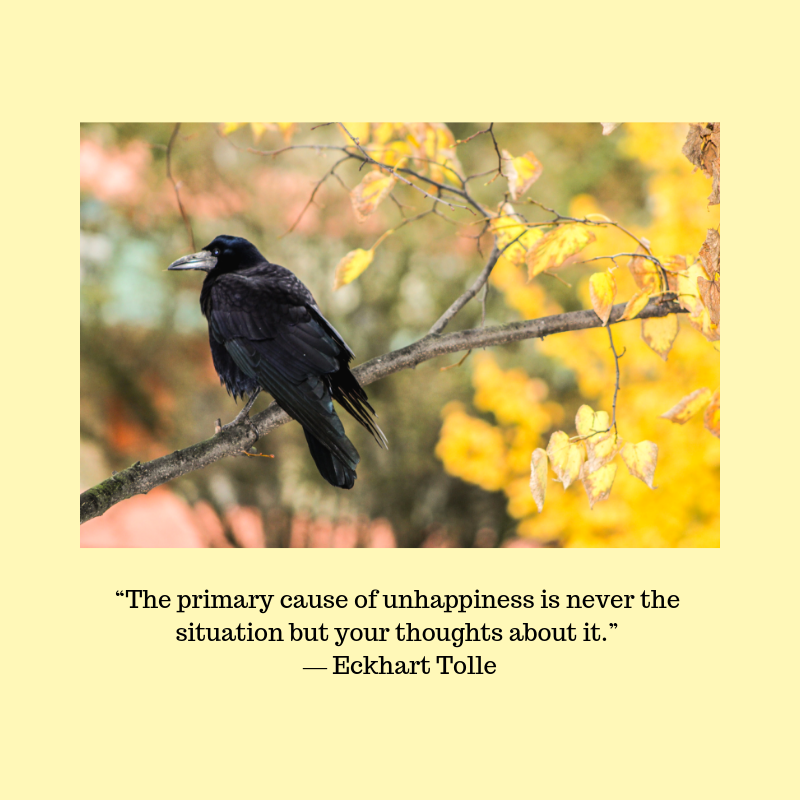 “The primary cause of unhappiness is never the situation but your thoughts about it.” ― Eckhart Tolle