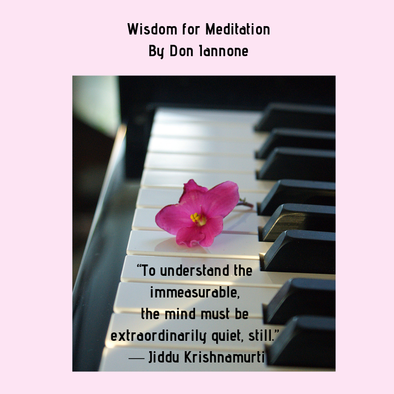 meditation wisdom 2